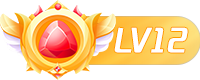 等级-LV12-极盘社区