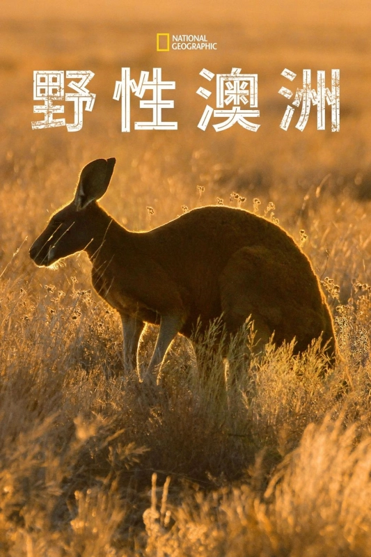 野性澳大利亚 Wild Australia