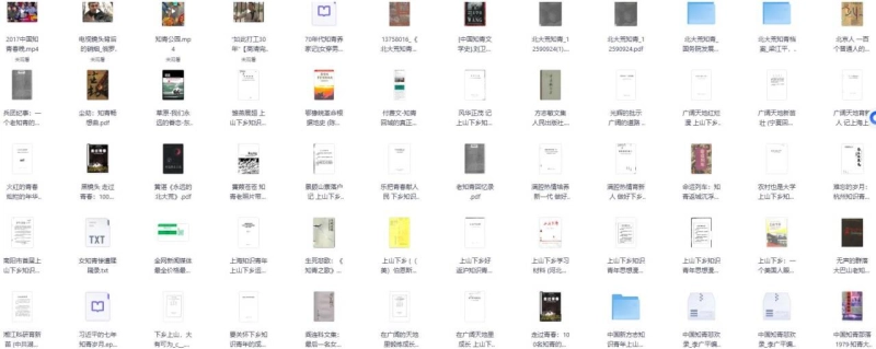 20251231120638190-知青资料