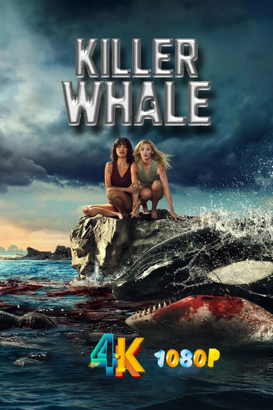 20260117195549235-杀人鲸1aa