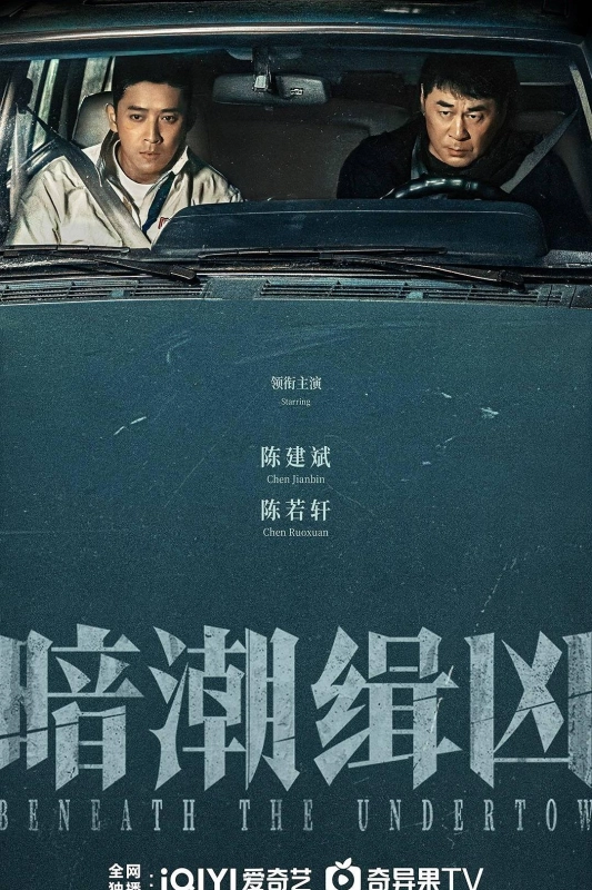 【电视剧】暗潮缉凶 4K高码 已完结共16.9G-资源汇